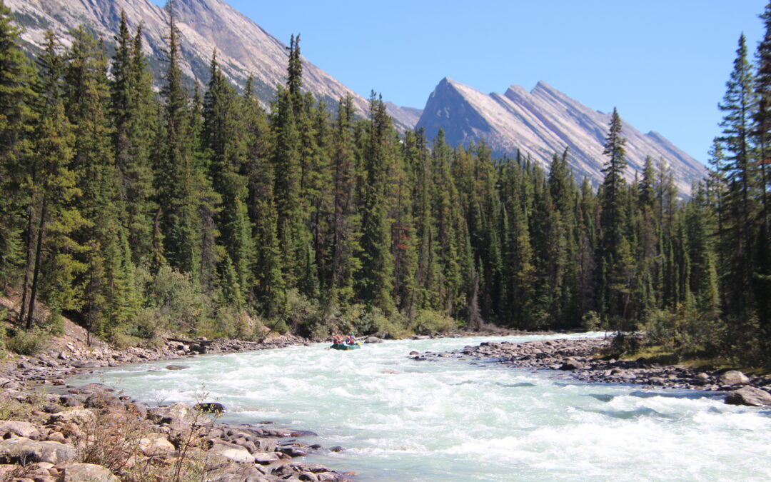 Sunwapta Falls Jasper National Park: What You Need To Know