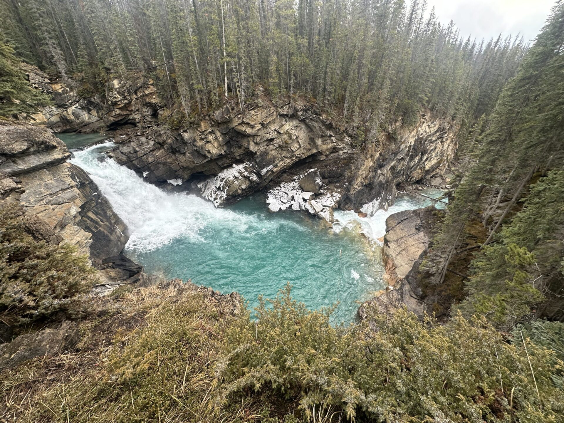 sunwapta lower falls jasper park