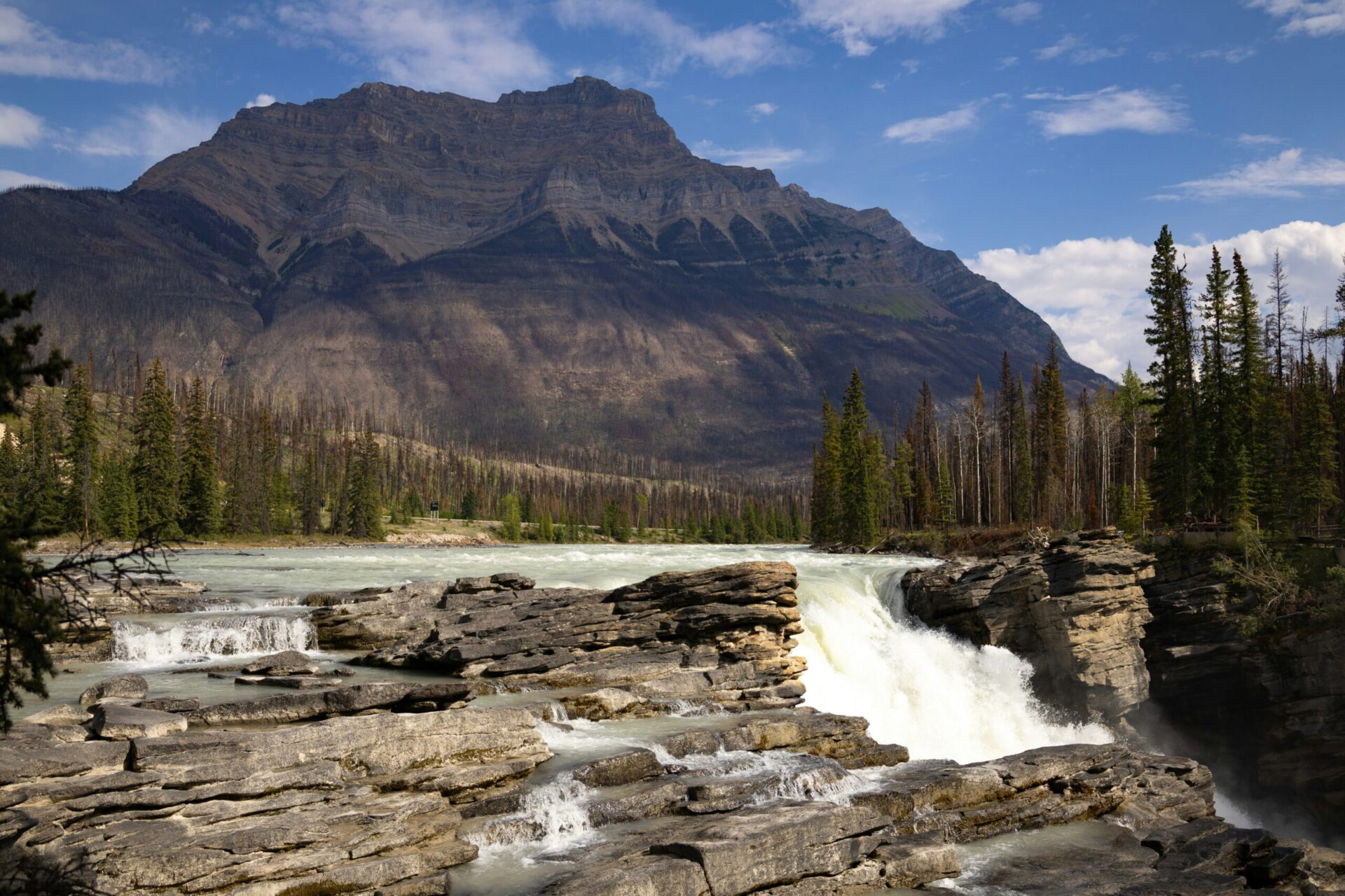 athabasca falls jasper national park waterfall