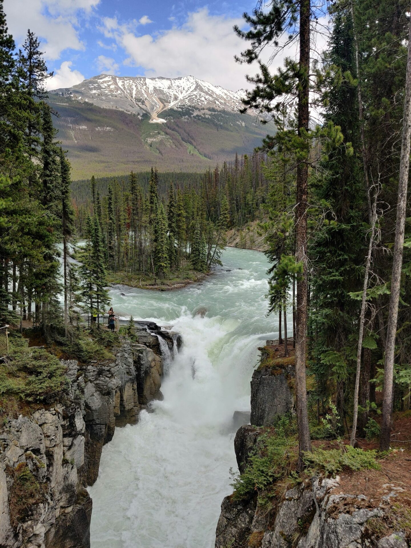 Upper Sunwapta Falls cascading through rocky terrain along the Icefields Parkway
