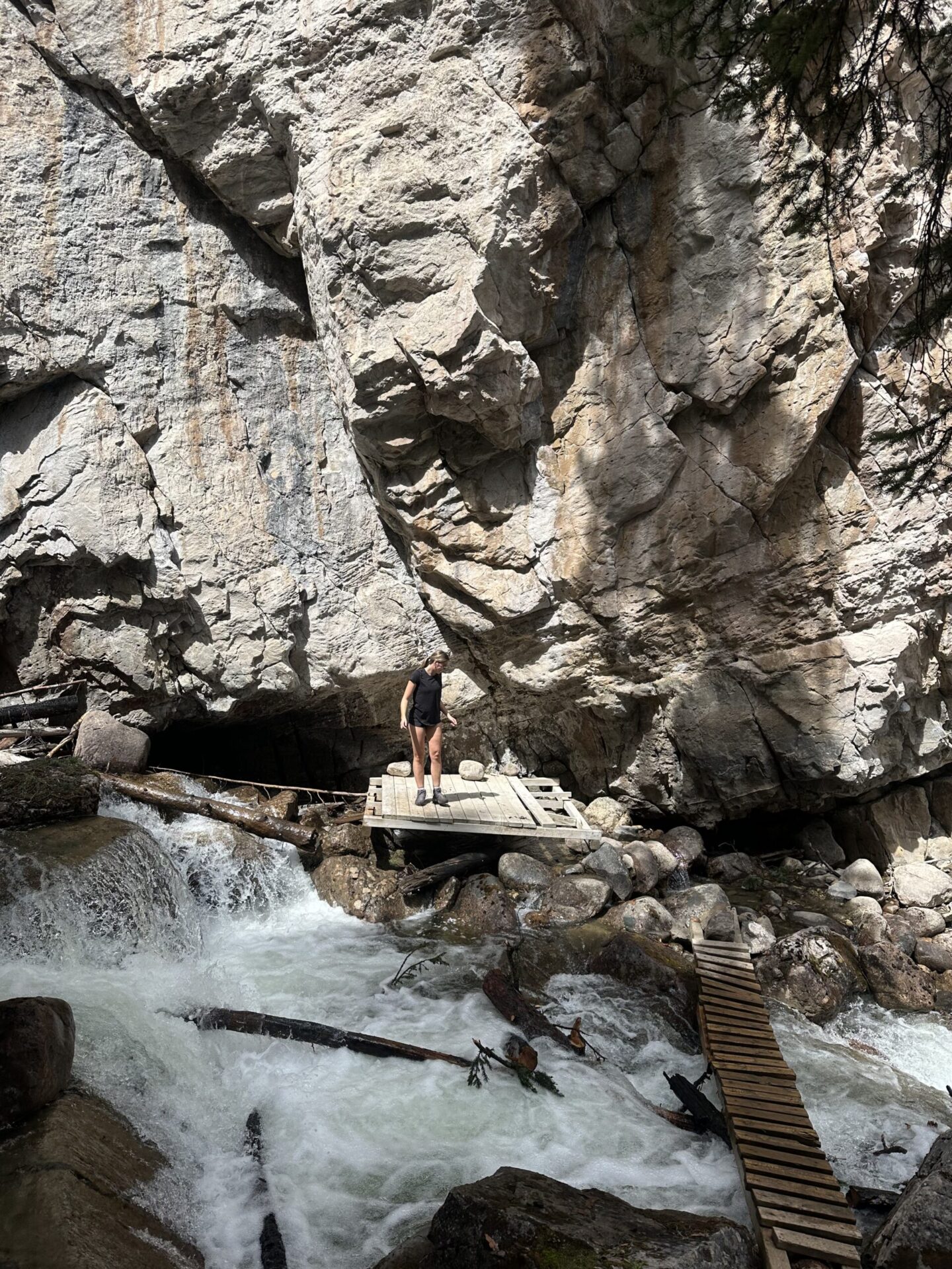 geraldine waterfall jasper national park