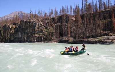 Jasper in July: What to Do, What to Book, and What to Expect